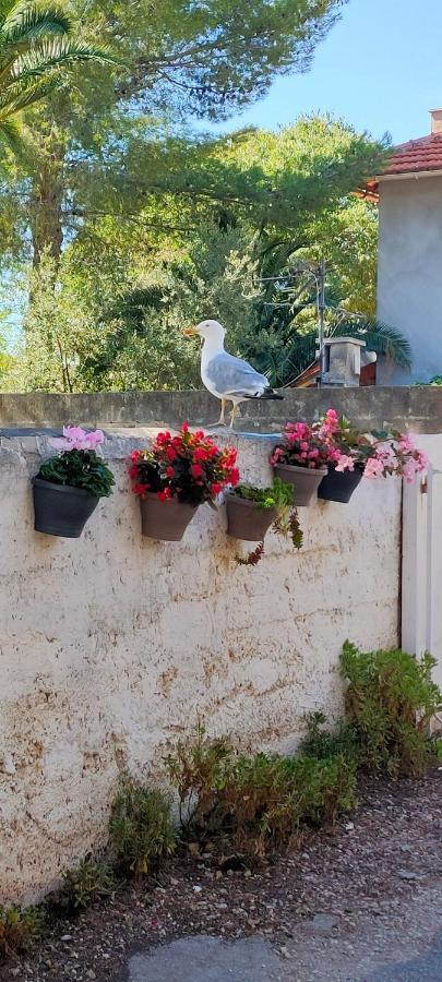 בנדול Joli Studio Les Pieds Dans L Eau Avec Place De Parking Gratuite מראה חיצוני תמונה